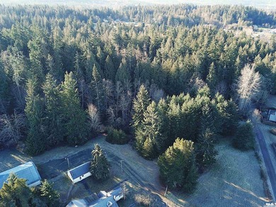 Enjoy water and mountain views from this beautifully treed 3.04 - photo 5