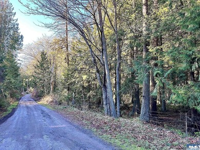 Enjoy water and mountain views from this beautifully treed 3.04 - photo 6