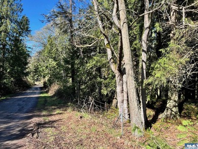 Enjoy water and mountain views from this beautifully treed 3.04 - photo 7
