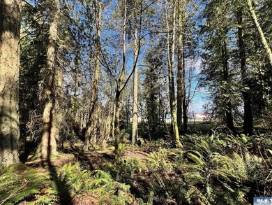 Enjoy water and mountain views from this beautifully treed 3.04 - photo 10