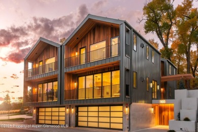 (private lake, pond, creek) Townhome/Townhouse For Sale in Carbondale Colorado