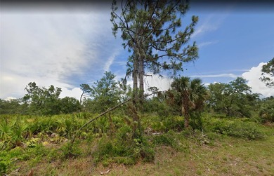 Port Charlotte Waterway Area Lot For Sale in Port Charlotte Florida