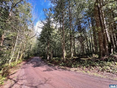Enjoy water and mountain views from this beautifully treed 4.70 - photo 6