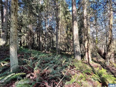 Enjoy water and mountain views from this beautifully treed 4.70 - photo 8