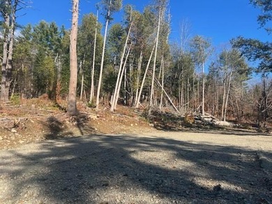 Discover your perfect getaway in the heart of the Maine Woods! - photo 6