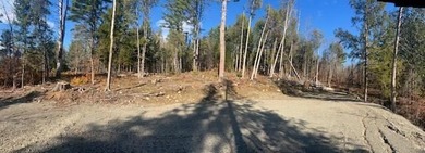 Discover your perfect getaway in the heart of the Maine Woods! - photo 10
