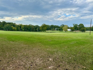 (private lake, pond, coastal) Lot For Sale in Lecompte Louisiana