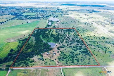 (private lake, pond, creek) Home For Sale in Bertram Texas