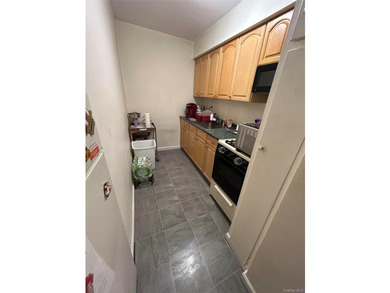 Welcome to this bright and spacious 1 bedroom, 1 bath co-op - photo 11