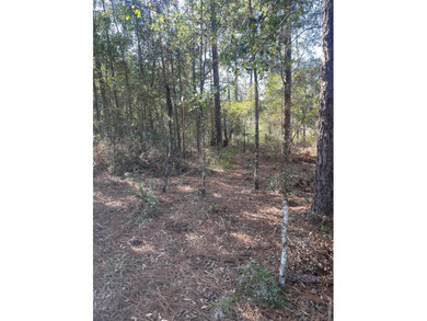(private lake, pond, creek) Lot For Sale in Defuniak Springs Florida