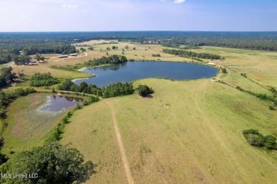 (private lake, pond, creek) Acreage For Sale in Poplarville Mississippi