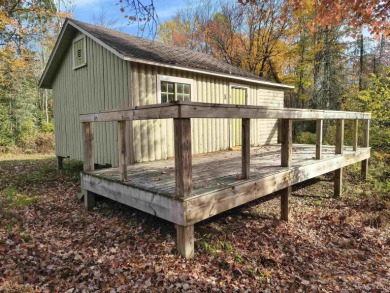 Lake Home For Sale in Amasa, Michigan