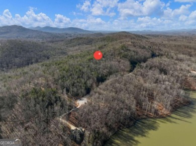 Lake Laceola Acreage For Sale in Cleveland Georgia