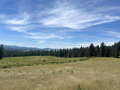 Are you ready for your own slice of Idaho with gorgeous views - photo 1