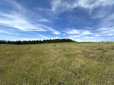 Are you ready for your own slice of Idaho with gorgeous views - photo 2