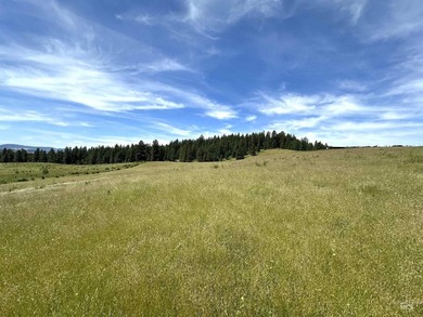 Are you ready for your own slice of Idaho with gorgeous views - photo 3