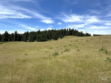 Are you ready for your own slice of Idaho with gorgeous views - photo 5