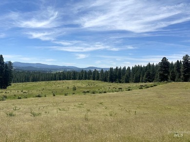 Are you ready for your own slice of Idaho with gorgeous views - photo 6