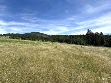 Are you ready for your own slice of Idaho with gorgeous views - photo 7