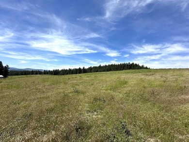 Are you ready for your own slice of Idaho with gorgeous views - photo 8