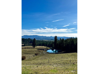 Are you ready for your own slice of Idaho with gorgeous views - photo 9