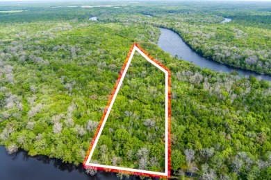 Lake Acreage For Sale in Old Town, Florida