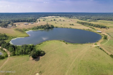 Lake Acreage Sale Pending in Poplarville, Mississippi