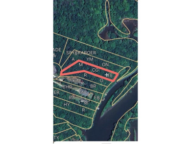 Lake Lot For Sale in Eatonton, Georgia