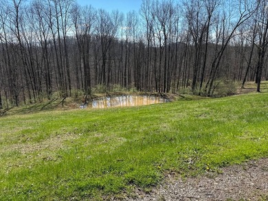 A beautiful log home or retreat situate on 68.58 acres located - photo 26
