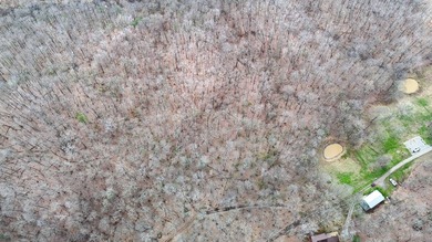 A beautiful log home or retreat situate on 68.58 acres located - photo 31