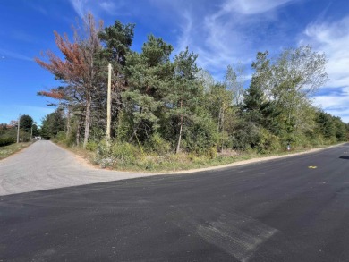 Ross Lake Lot For Sale in Beaverton Michigan