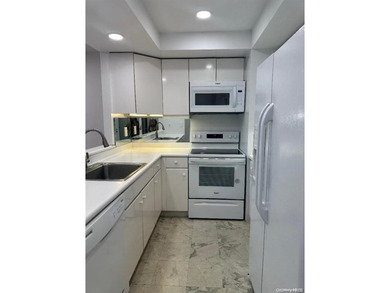 bright & spacious all renovated one bedroom 1.5 bath condo - photo 7