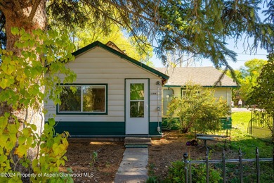 Roaring Fork River Home For Sale in Carbondale Colorado