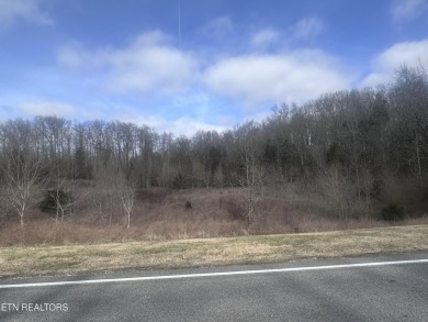 Choice lot situated in beautiful Grande Vista Bay. Amenities - Lake Lot For Sale in Rockwood, Tennessee