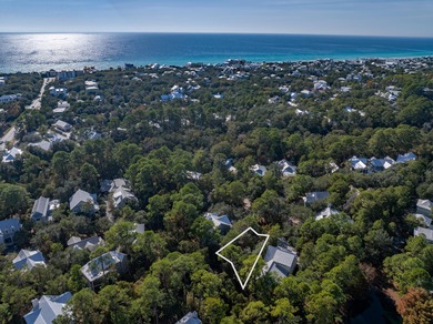 Western Lake Lot For Sale in Santa Rosa Beach Florida