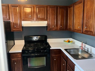 Beautiful and spacious 2 bedroom upper co-op was just painted - photo 5