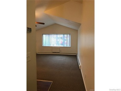 Majestic LEGAL duplex on a tree lined quiet street in Soundview - photo 20
