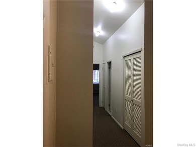 Majestic LEGAL duplex on a tree lined quiet street in Soundview - photo 23