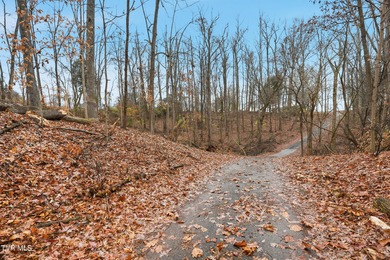 Boone Lake Lot Sale Pending in Piney Flats Tennessee