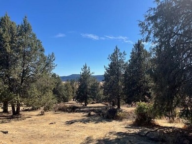 Upper Klamath Lake Lot For Sale in Klamath Falls Oregon