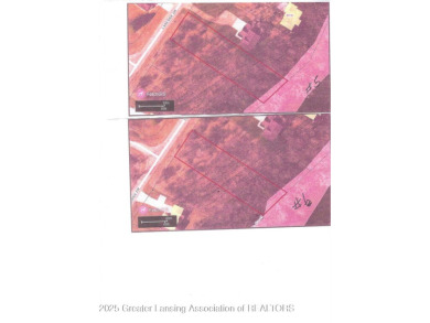 Lake Lot For Sale in Perrinton, Michigan