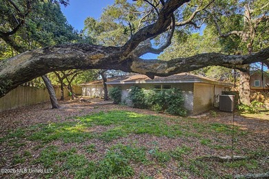 Tucked away on a quiet, tree-lined street, this beautifully - photo 28