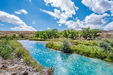 Welcome to River Bend Ranch! Discover a truly rare Nevada - photo 42