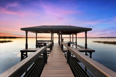 Lake Home For Sale in Tavares, Florida