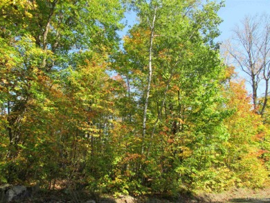 (private lake, pond, creek) Acreage For Sale in Michigamme Michigan