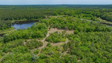 Exceptional Northeast Texas ranch featuring rolling elevation - photo 2