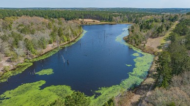 Exceptional Northeast Texas ranch featuring rolling elevation - photo 3