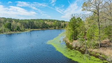Exceptional Northeast Texas ranch featuring rolling elevation - photo 4
