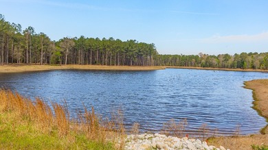 Exceptional Northeast Texas ranch featuring rolling elevation - photo 5