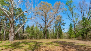 Exceptional Northeast Texas ranch featuring rolling elevation - photo 9